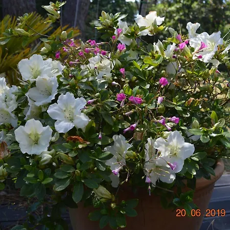 בית נופש Maison Maitre En Briques N 10 *